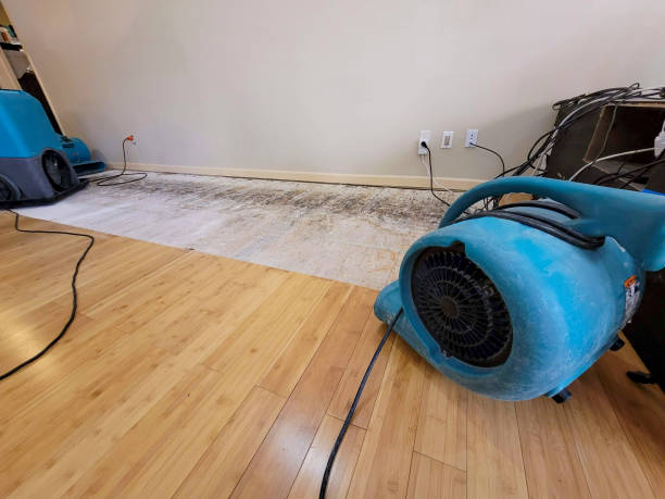Professional Sewage Cleanup technician working in Havelock, NC